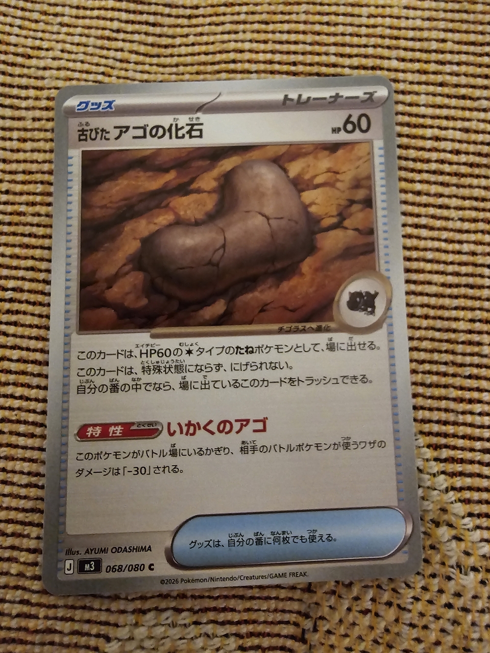 Trading Card - Brown Fossil Trainer Card